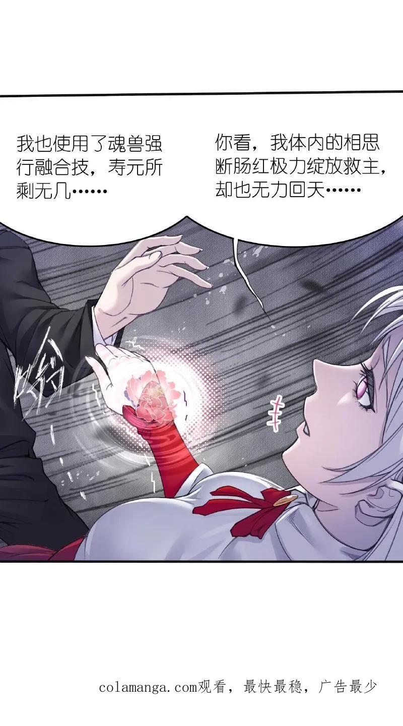 斗罗大陆漫画免费在线观看