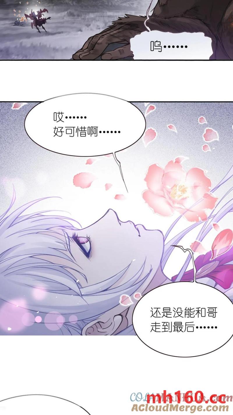 斗罗大陆漫画免费在线观看