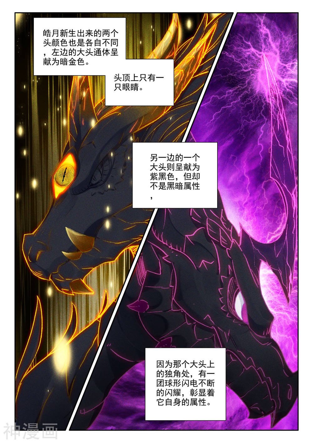 神印王座漫画免费在线观看