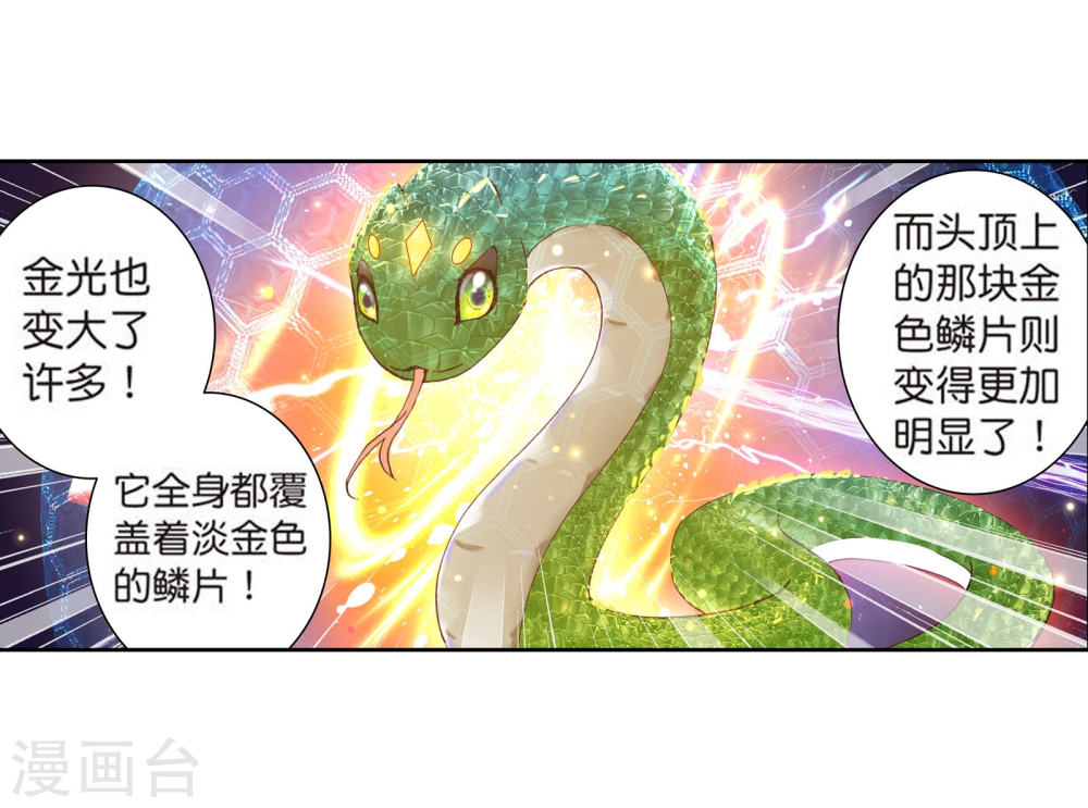 斗罗大陆3龙王传说漫画免费看